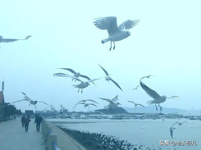 夏天自驾游海滩路线，夏天自驾游海滩路线图