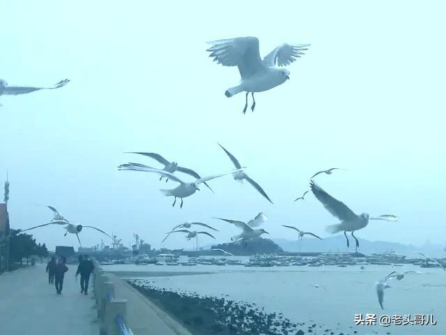 海沟如何钓鱼?海沟如何钓鱼视频!