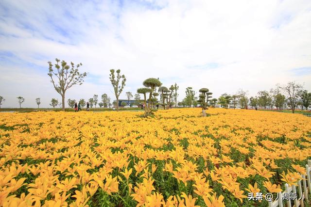 弥勒市旅游带娃必去景点(图2)
