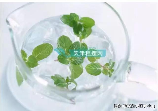 薄荷老叶有什么功效(图3)