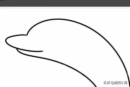 动物怎么画简笔画（夏天的动物怎么画简笔画）