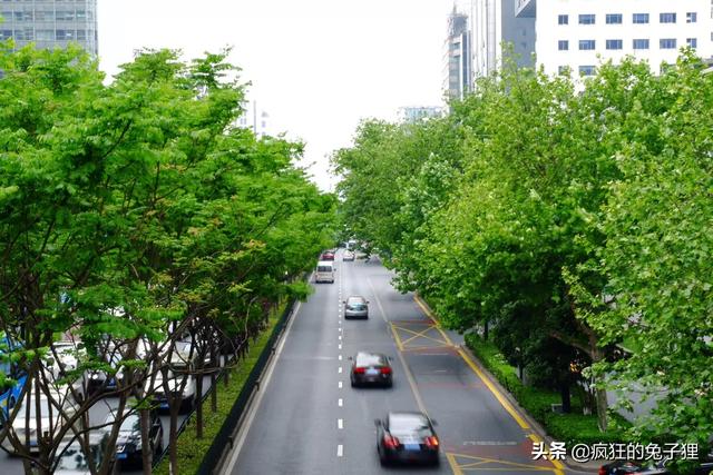 杭州德寿宫地铁路线路线，杭州德寿宫地铁路线路线图