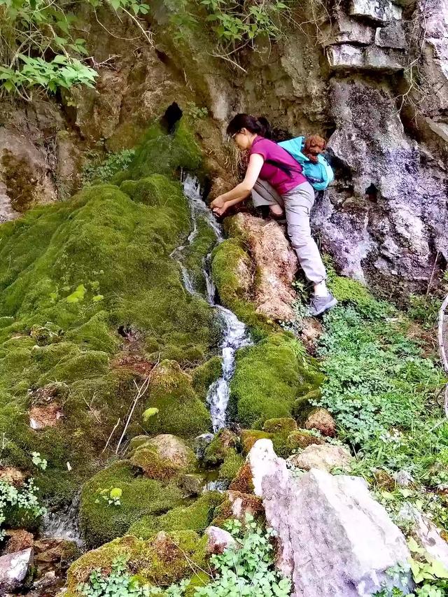 怎么带狗狗出门旅游,第2张