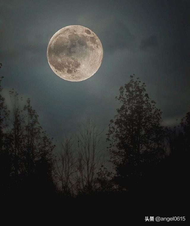 如何忘记（怎样才能忘记以前！不想再想起，那些伤心事谁能告诉我怎么办？）