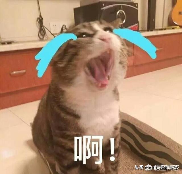 [蘑菇街羽绒服]怎样整理家里的衣柜？