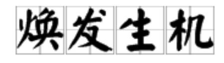 焕发生机（焕发生机老刘张雪妮全文阅读）
