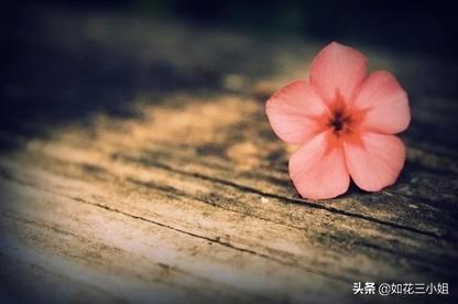 梦见喜欢的男人来找我(图1)