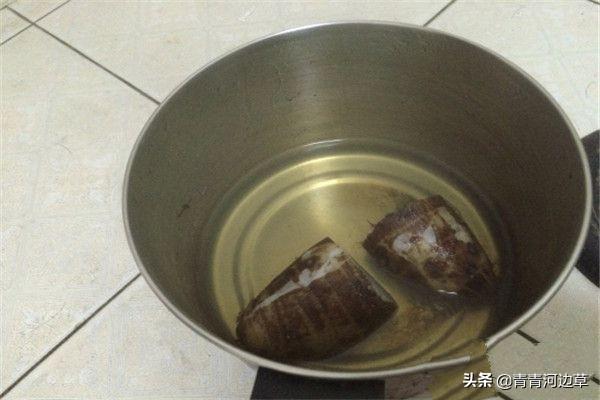 新会今日猪价格-新会猪价网