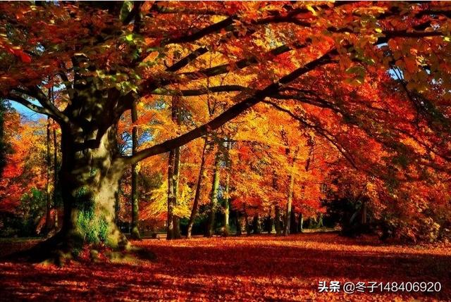 宝鸡秋天旅游景点大全， 宝鸡秋天旅游景点大全图片