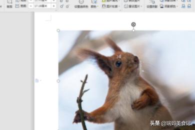 艺术字怎么弄(电脑上的艺术字怎么弄)