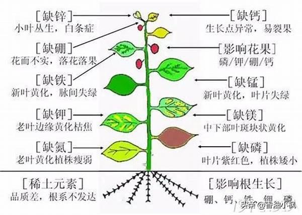 食物营养评价的方法与指标是?-食物营养评价的方法与指标是什么