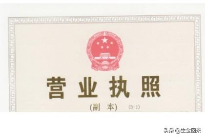 税务行政许可申请表格的格式与结构解析，税务行政许可申请表格的格式与结构解析