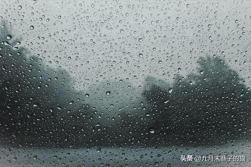 雨有什么功效(图14)