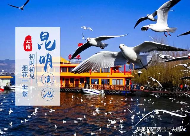 云南七天景点门票价格， 云南七天景点门票价格表