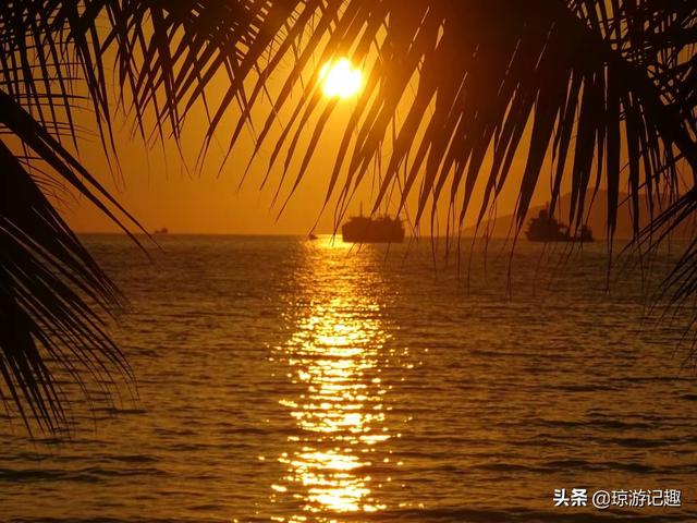 国庆节，国庆节高速免费几天?