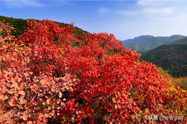 10月份国内最佳旅游地,10月份国内最佳旅游地推荐