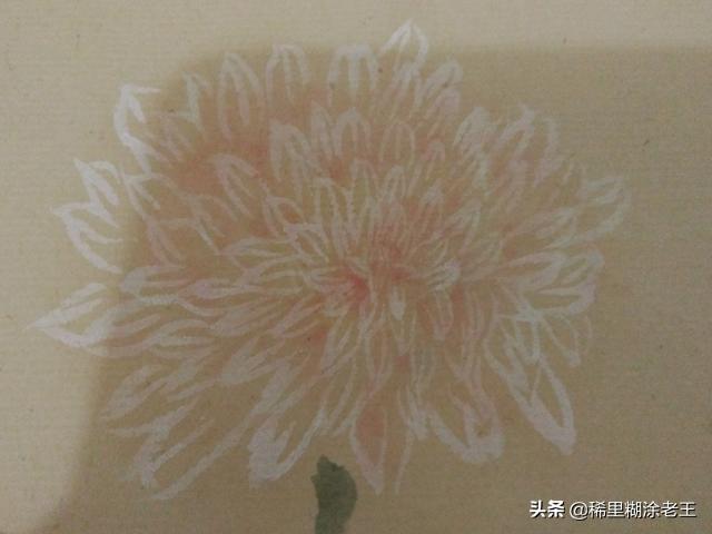 怎么画菊花卉?怎么画菊花卉图片!