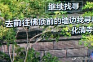 《天涯明月刀》电视剧 天涯明月刀全集-第1张图片-Game优搜