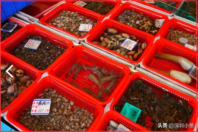 深圳户口有什么好、能享受哪些好的待遇呢？