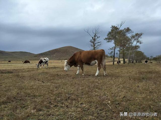 隆化免费景点门票价格查询， 隆化免费景点门票价格查询表