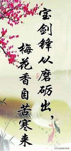 如何恭喜别人发财的句子说说