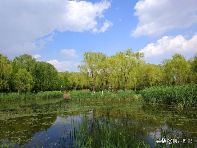 济南市里公园哪个好玩儿