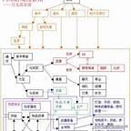 想转行游戏策划，该怎么做？