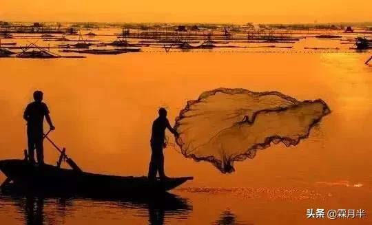 东莞市捕鱼器批发市场在哪里