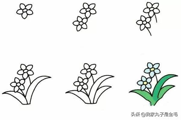 菊花简笔画花卉?菊花简笔画花卉图片!