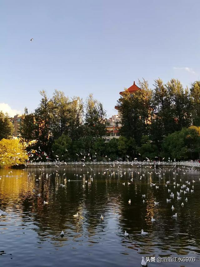 昆明翠湖公园-昆明翠湖公园景点介绍