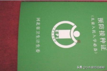 少儿保险明细表怎么查询，少儿保险明细表怎么查询不到