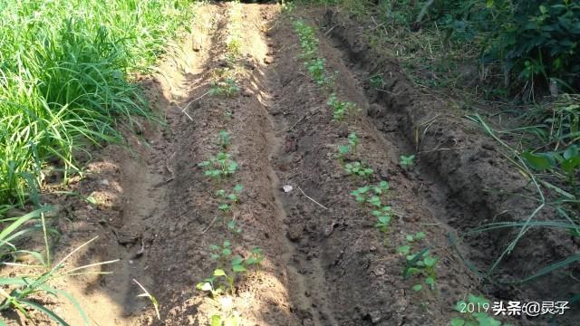 家里安装空气能热水器，热水要打开约一分钟才有，同时用水，热水水流会很小，请问解决办法？：大时间