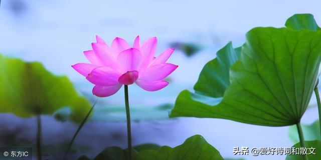 女人的微信名什么最好(图20)