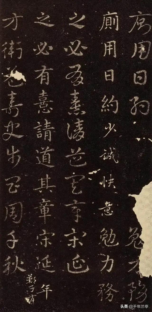 章草书法是什么字体