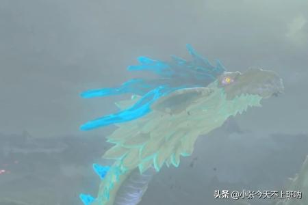 [智慧山中医]智慧山门票哪里买？