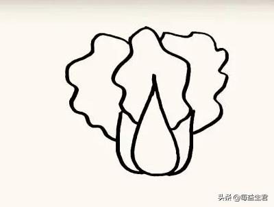 怎么画可以吃的蔬菜卡通(图4)