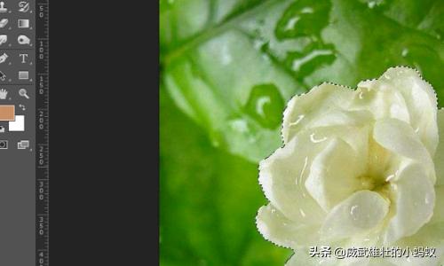 蒙版的作用ps蒙版的作用