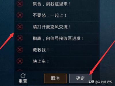 王者吃鸡聊天怎么设置(图12)