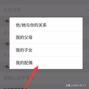 河南健康码小程序叫什么？