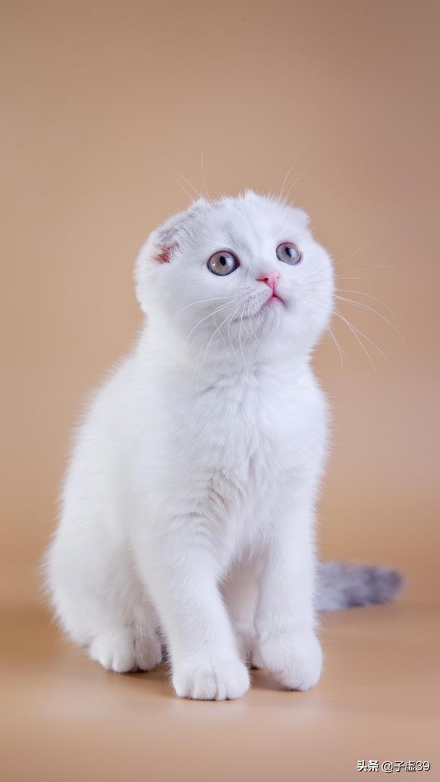 老婆爱上我电视剧剧情（老婆爱上我女主简介）