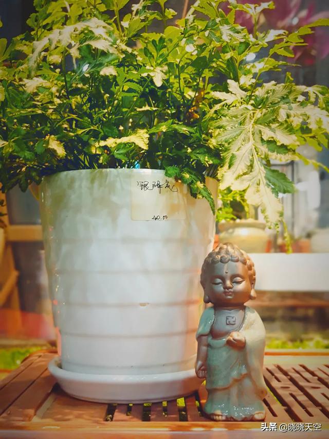 [怎么虚化照片背景]ps虚化背景的最新方法？