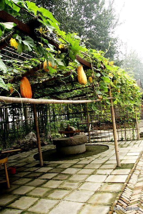 海鱼小说app官方正版 海鱼小说-第3张图片-春华游戏网