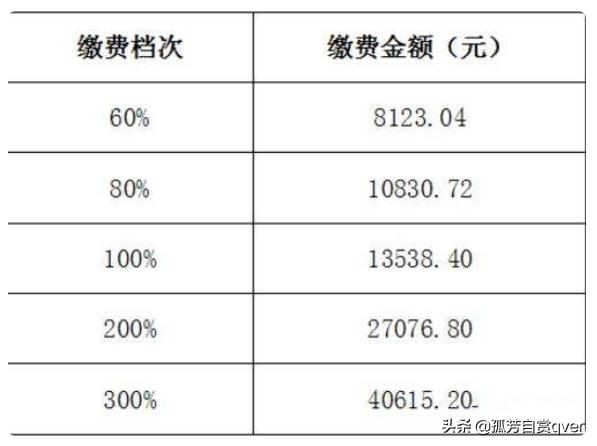 养老保险分几个档次，养老保险分几个档次分别多少钱