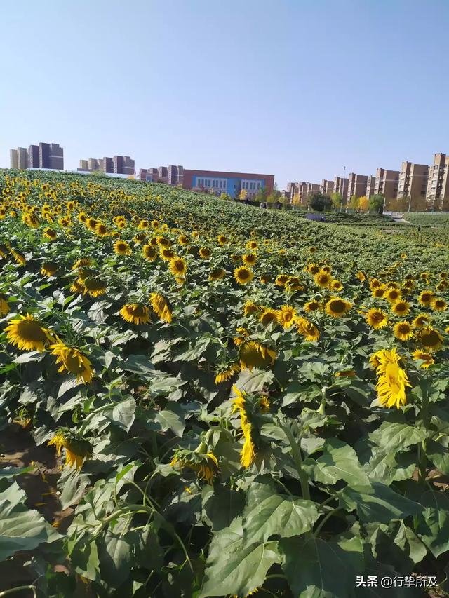 暑假穷游十大最佳景点_暑假穷游适合去哪里2021