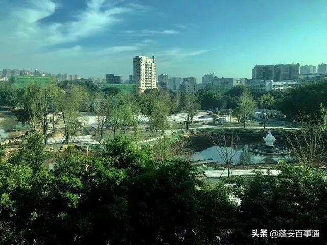 树木修剪合同 浇水怎么写-树木修剪合同 浇水怎么写范文