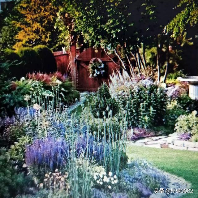 什么是花境？花境植物可以选什么？该如何搭配？：景观设计根花镜的区别