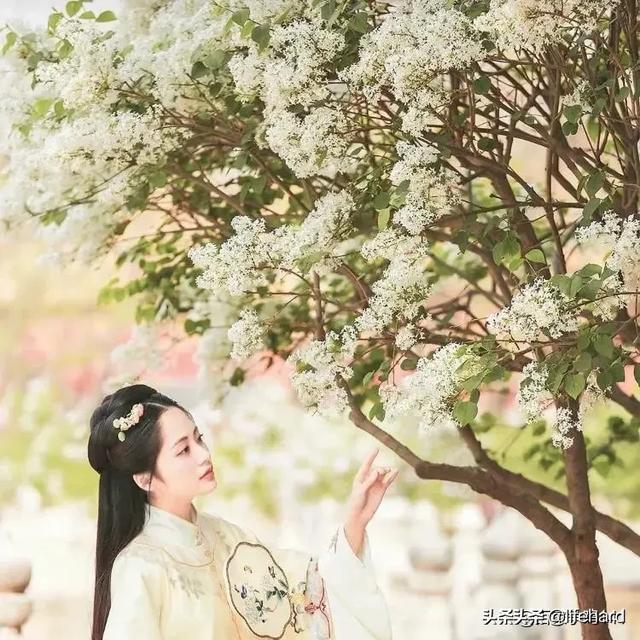 激励人的狠话_减肥语录激励人的狠话