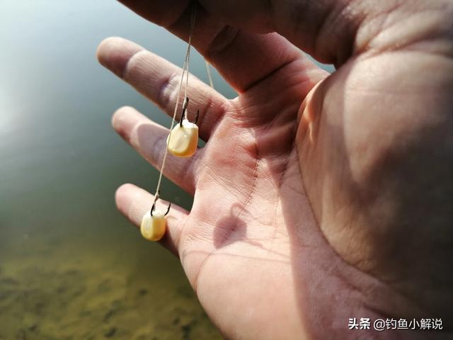 草鱼玉米如何搭配做馅儿(图14)