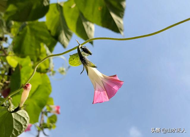 摄影穿着与背景如何搭配(图8)