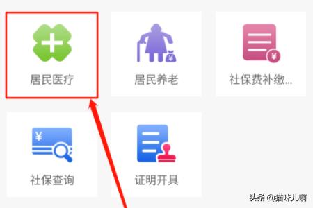 微信里怎么交城乡医疗保险，微信里怎么交城乡医疗保险的钱